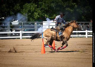 Regulators at the Larimer County Fair 2024
