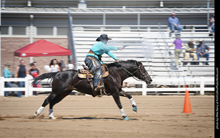 Regulators at the Larimer County Fair 2024