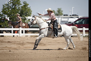 Regulators at the Larimer County Fair 2024