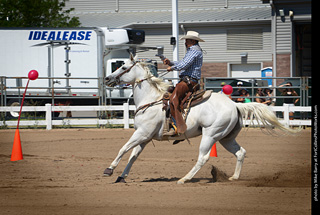 Regulators at the Larimer County Fair 2024