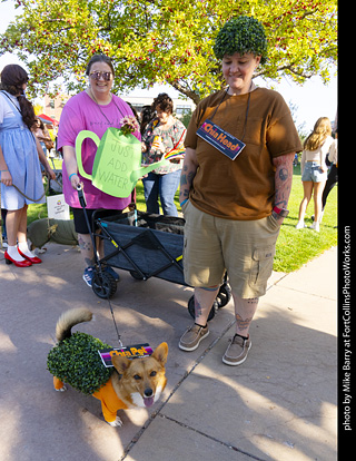 2024 Tour de Corgi - contest