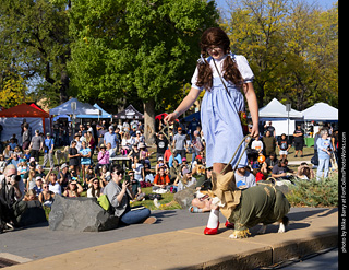 2024 Tour de Corgi - contest