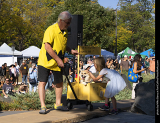 2024 Tour de Corgi - contest