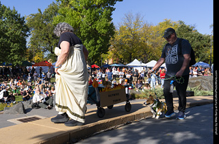 2024 Tour de Corgi - contest