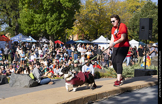 2024 Tour de Corgi - contest