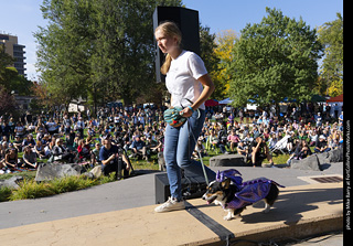 2024 Tour de Corgi - contest