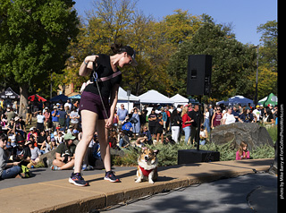 2024 Tour de Corgi - contest