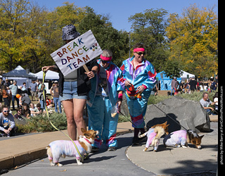 2024 Tour de Corgi - contest
