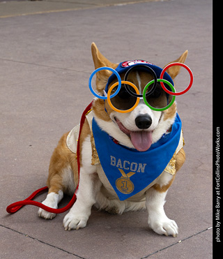 2024 Tour de Corgi - guests