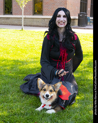 2024 Tour de Corgi - guests