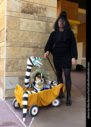 2024 Tour de Corgi - guests