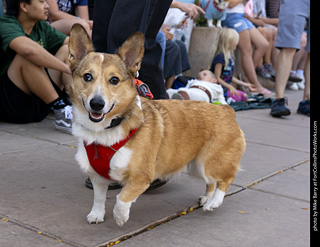 2024 Tour de Corgi - tour