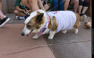 2024 Tour de Corgi - tour