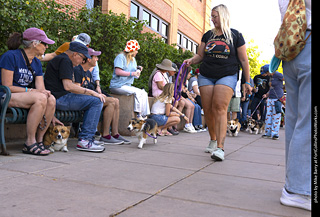 2024 Tour de Corgi - tour