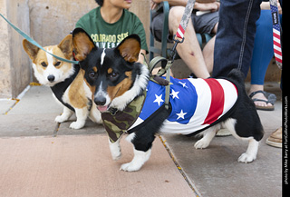 2024 Tour de Corgi - tour