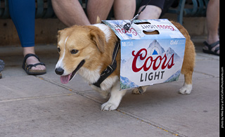 2024 Tour de Corgi - tour