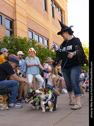 2024 Tour de Corgi - tour