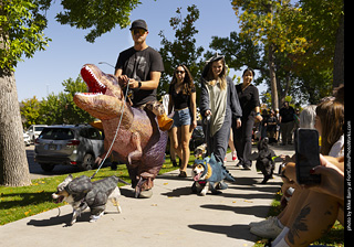 2024 Tour de Corgi - tour