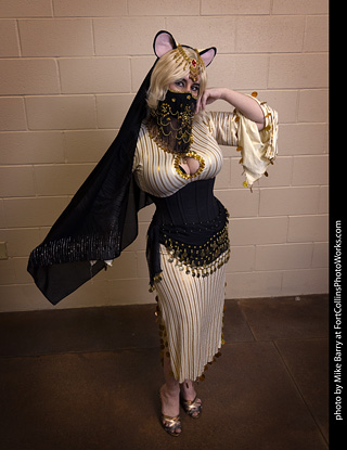 Wicked West Comic Expo 2025