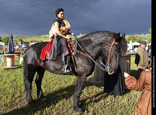 Knights of Mayhem at CMF 2025