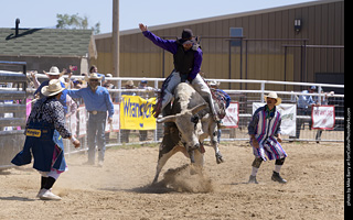 Never Summer Rodeo 2025