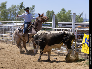 Never Summer Rodeo 2025