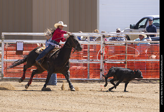 Never Summer Rodeo 2025