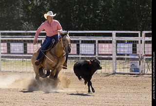 Never Summer Rodeo 2025