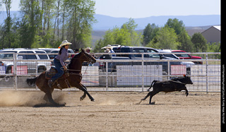 Never Summer Rodeo 2025