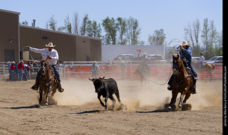 Never Summer Rodeo 2025