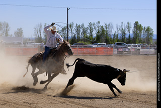 Never Summer Rodeo 2025