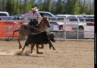 Never Summer Rodeo 2025