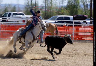 Never Summer Rodeo 2025