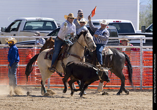 Never Summer Rodeo 2025