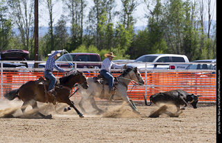 Never Summer Rodeo 2025