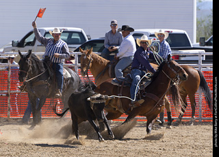 Never Summer Rodeo 2025