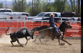 Never Summer Rodeo 2025
