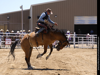Never Summer Rodeo 2025