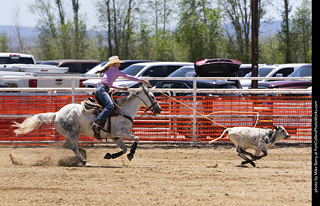 Never Summer Rodeo 2025
