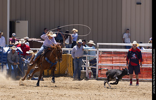 Never Summer Rodeo 2025