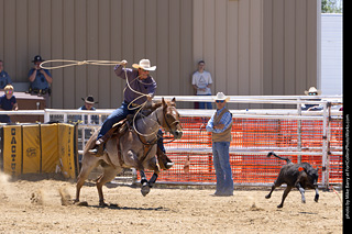 Never Summer Rodeo 2025