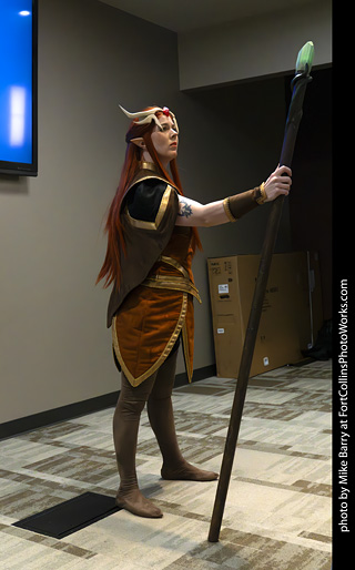 Fort Collins Comic Con 2025 - Contest