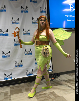 Fort Collins Comic Con 2025 - Contest