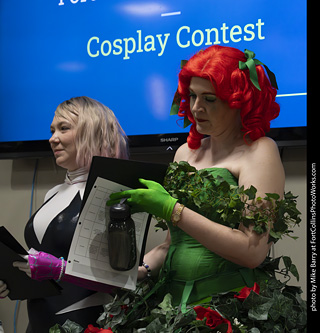 Fort Collins Comic Con 2025 - Contest