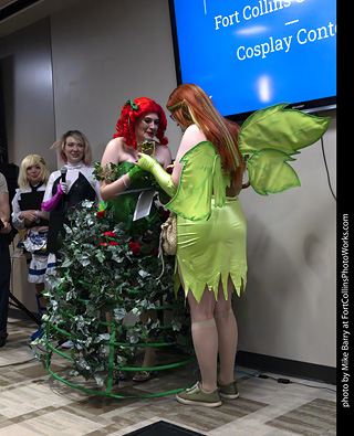 Fort Collins Comic Con 2025 - Contest