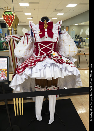 Fort Collins Comic Con 2025