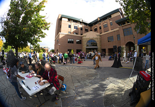 Tour de Corgi 2025 - Costume Contest