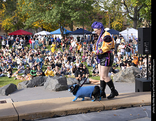 Tour de Corgi 2025 - Costume Contest