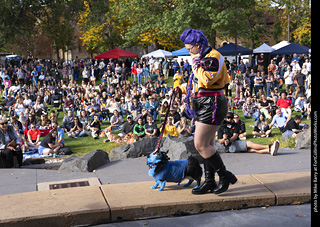 Tour de Corgi 2025 - Costume Contest