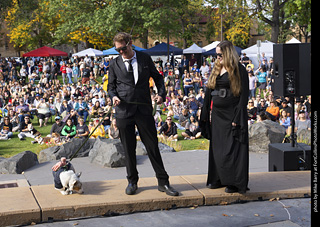 Tour de Corgi 2025 - Costume Contest